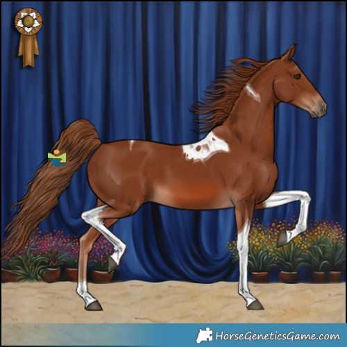 Horse Color:Chestnut Tobiano 