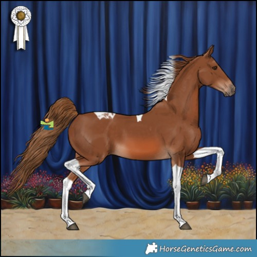 Horse Color:Chestnut Tobiano