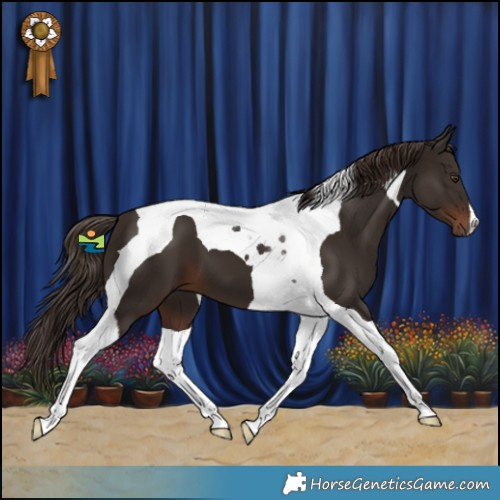 Horse Color:Liver Chestnut Tobiano 