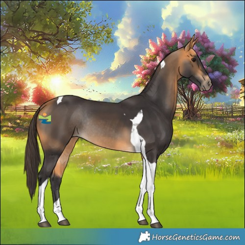 Horse Color:Buckskin Tobiano Rabicano