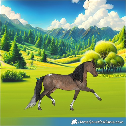 Horse Color:Brown Dun Tobiano