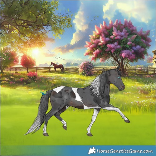 Horse Color:Brown Merle Tobiano 