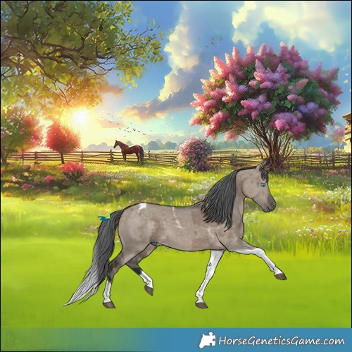 Horse Color:Brown Dun Merle Tobiano