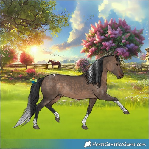 Horse Color:Brown Dun Tobiano Rabicano