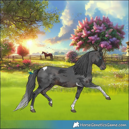 Horse Color:Brown Merle Tobiano 