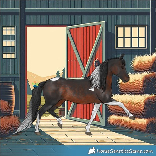 Horse Color:Brown Tobiano Rabicano 