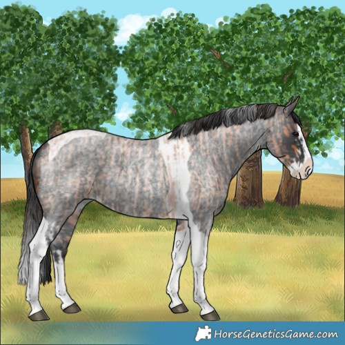 Horse Color:Bay Roan Splash Tobiano Varnish and Blue Roan Splash Tobiano Varnish