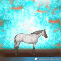 Horse Color:Silver Grullo Roan 