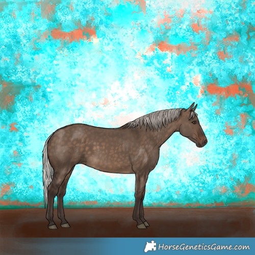 Horse Color:Silver Brown Dun