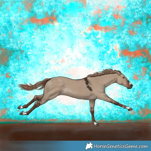Horse Color:Liver Red Dun Rabicano