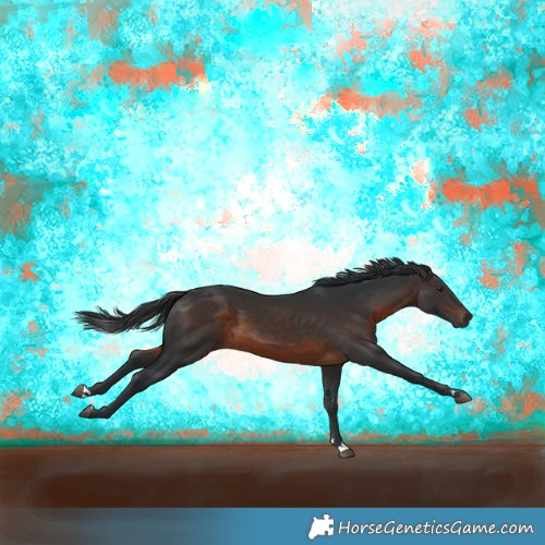 Horse Color:Brown Rabicano