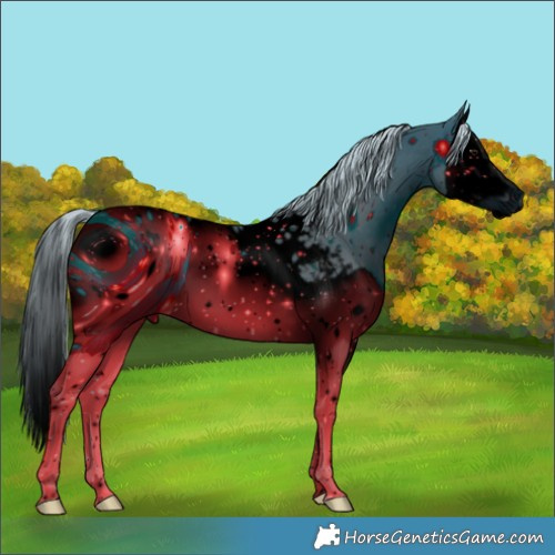 Horse Color:ERROR: UNKNOWN ANOMALY