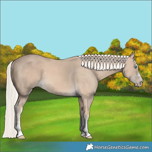 Horse Color:Cremello 