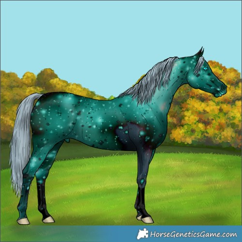 Horse Color:ERROR: UNKNOWN ANOMALY