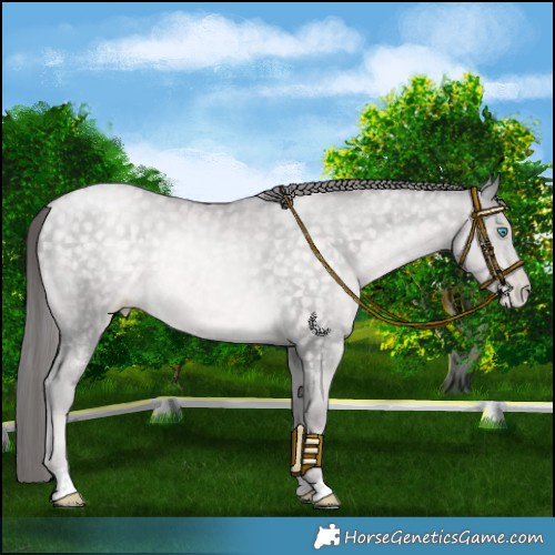 Horse Color:Platinum Buckskin Pearl 