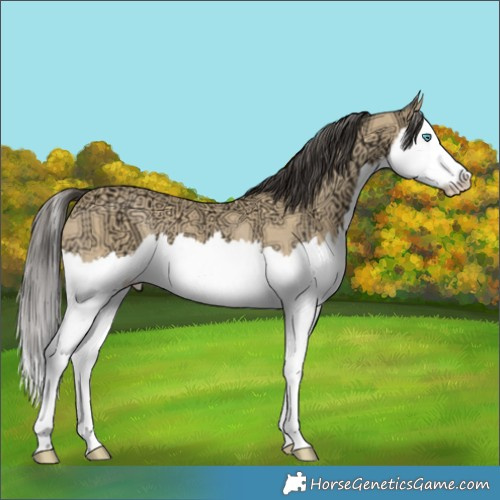 Horse Color:Buckskin Ice Splash