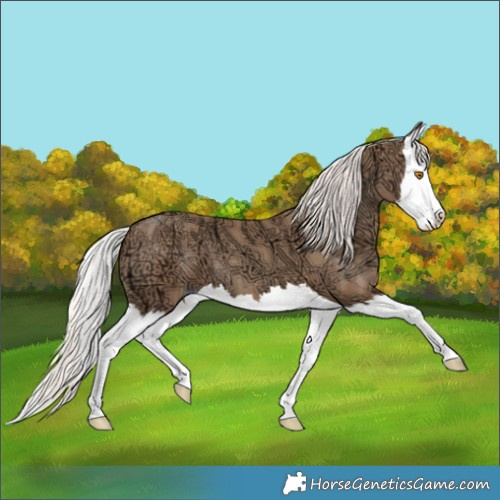 Horse Color:Silver Classic Champagne Ice Splash