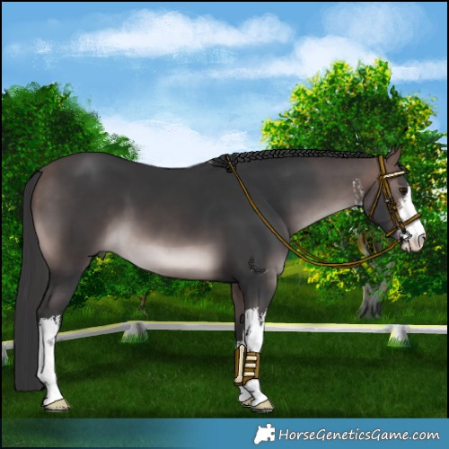 Horse Color:Platinum White Spotted Bay 