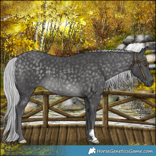 Horse Color:Platinum Silver Buckskin