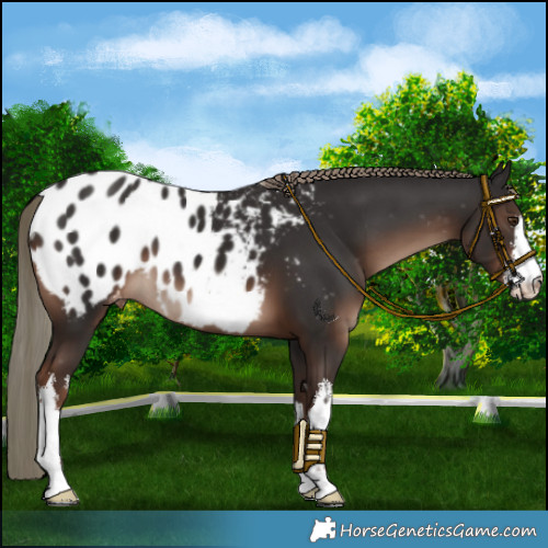 Horse Color:White Spotted Liver Chestnut Mushroom Blanket