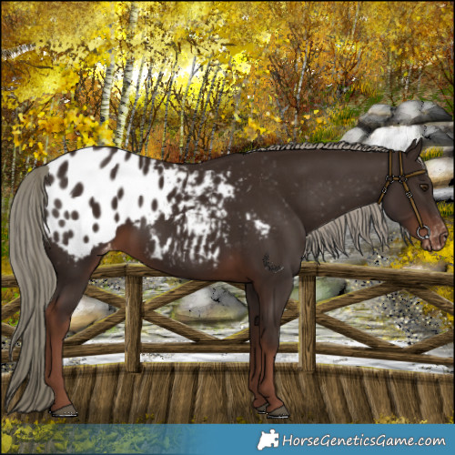 Horse Color:Liver Chestnut Mushroom Blanket 