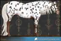 Horse Color:Liver Chestnut Mushroom Near Leopard