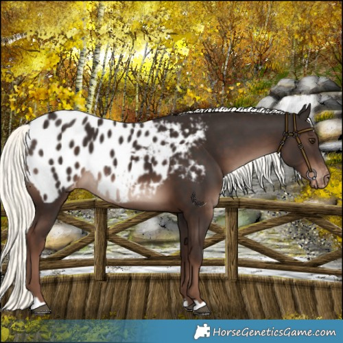 Horse Color:Liver Chestnut Mushroom Blanket 