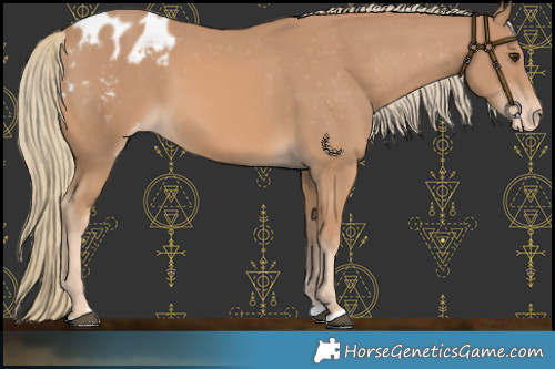 Horse Color:Chestnut Mushroom Varnish 