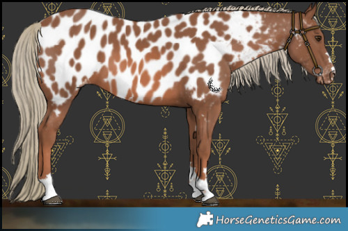 Horse Color:Chestnut Mushroom Near Leopard