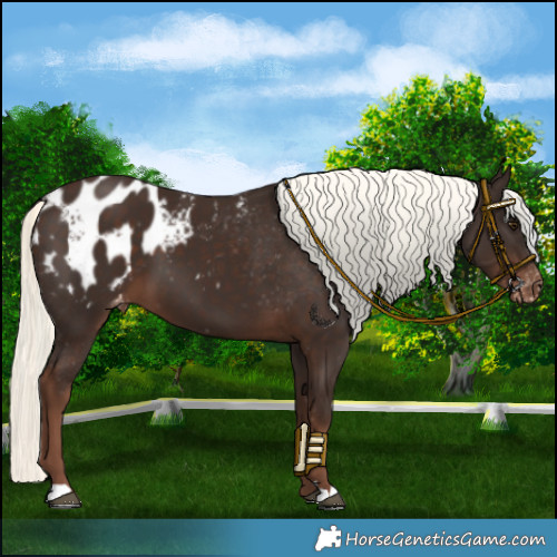 Horse Color:Liver Chestnut Mushroom Blanket 