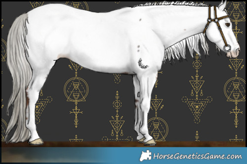 Horse Color:Liver Red Roan Mushroom Near Fewspot 