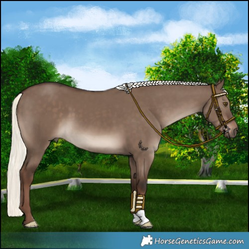 Horse Color:Liver Red Dun Mushroom