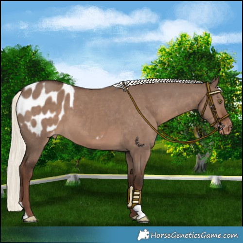 Horse Color:Liver Red Dun Mushroom Varnish 