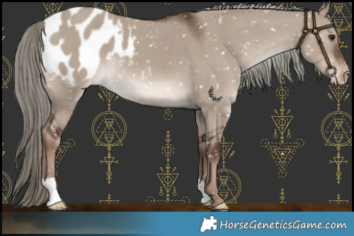 Horse Color:Liver Red Dun Mushroom Blanket 