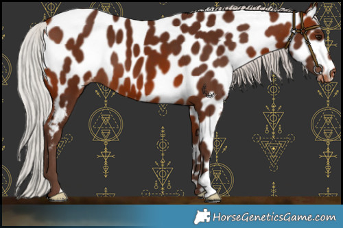 Horse Color:Silver Bay Mushroom Near Leopard 