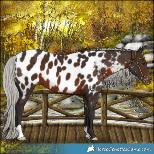 Horse Color:Silver Brown Mushroom Blanket