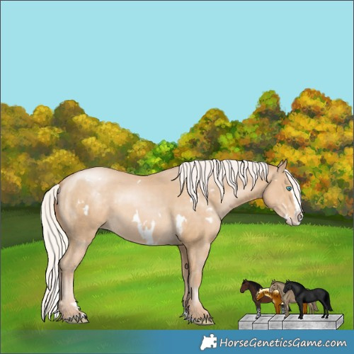 Horse Color:White Spotted Silver Smoky Black Pearl Splash Varnish 