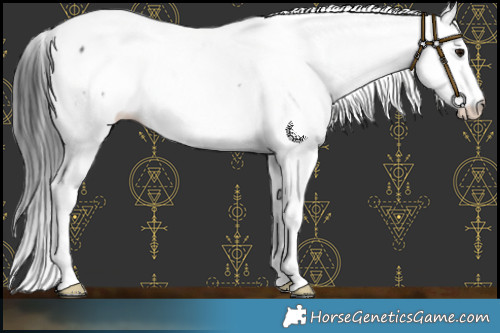 Horse Color:Brown Mushroom Sabino Fewspot