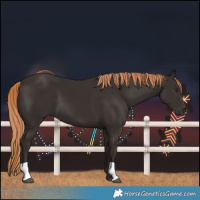 Horse Color:Liver Chestnut 