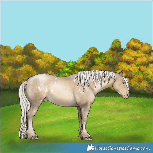 Horse Color:White Spotted Silver Smoky Black Pearl Appaloosa 