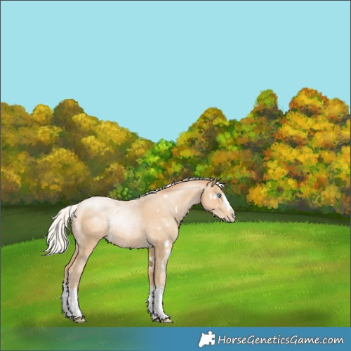 Horse Color:White Spotted Silver Smoky Black Pearl Splash Appaloosa 