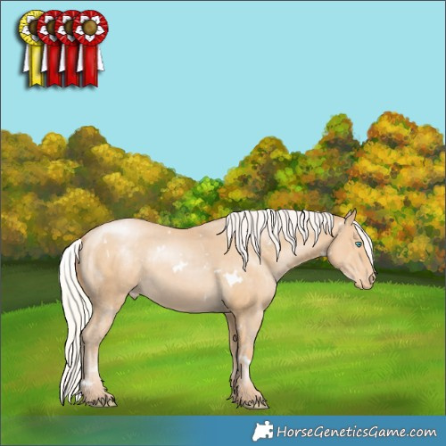 Horse Color:White Spotted Silver Smoky Black Pearl Appaloosa