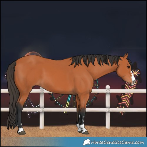 Horse Color:Bay 
