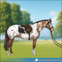 Horse Color:Gray Amber Champagne Tobiano Near Leopard