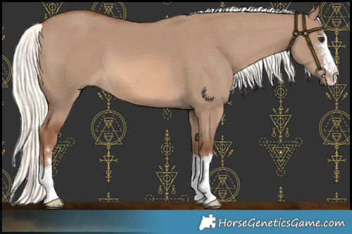 Horse Color:Red Dun Mushroom 