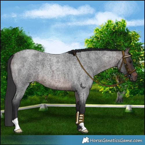Horse Color:Brown Roan Mushroom