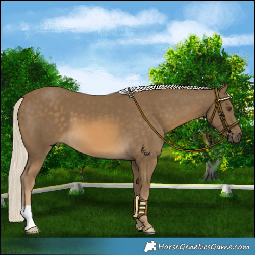 Horse Color:Chocolate Palomino Mushroom