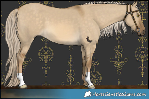 Horse Color:Chocolate Palomino Dun Mushroom