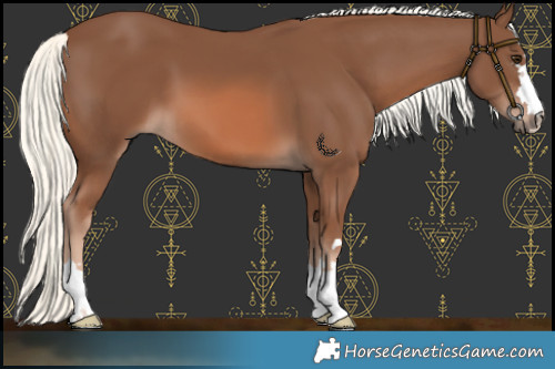 Horse Color:Chestnut Mushroom