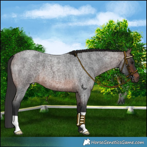 Horse Color:Brown Roan Mushroom 